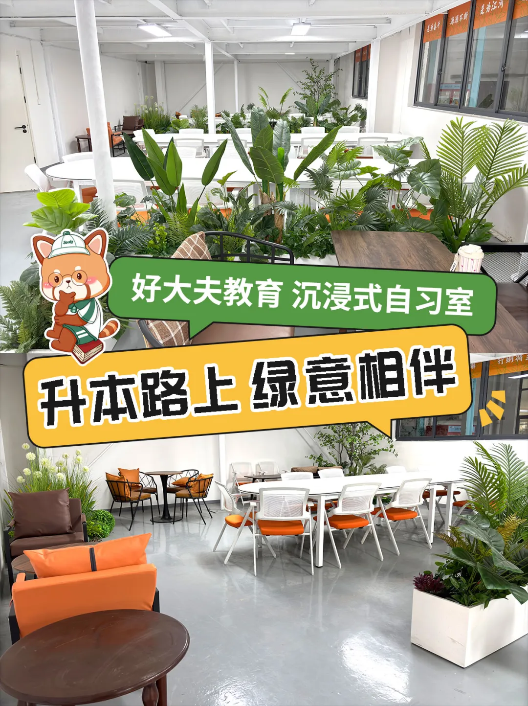 好大夫教育沉浸式自習(xí)室