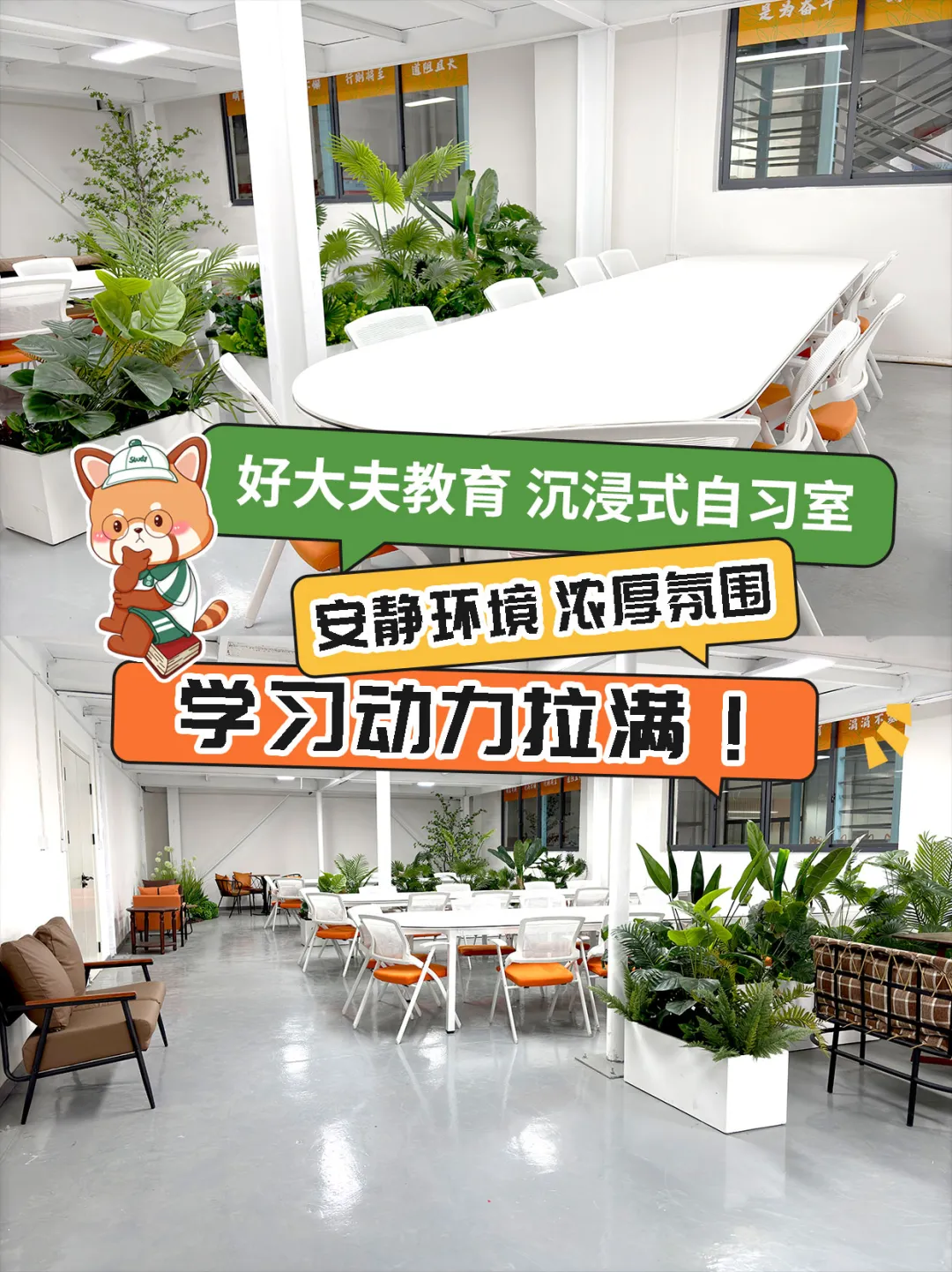 好大夫教育沉浸式自習(xí)室