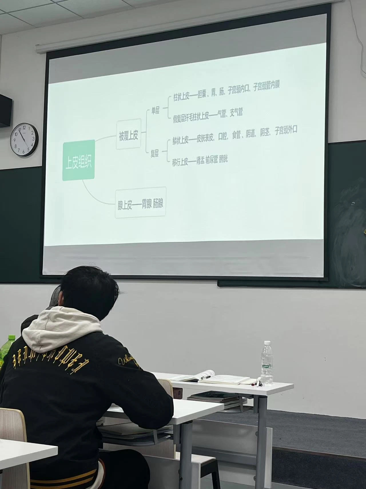 好大夫专升本高分学员