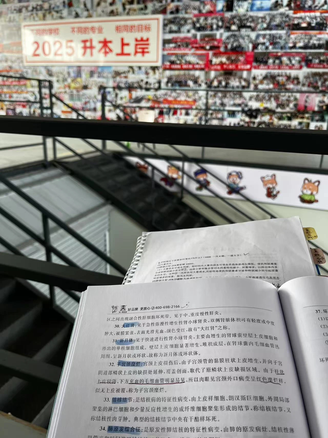 好大夫专升本高分学员