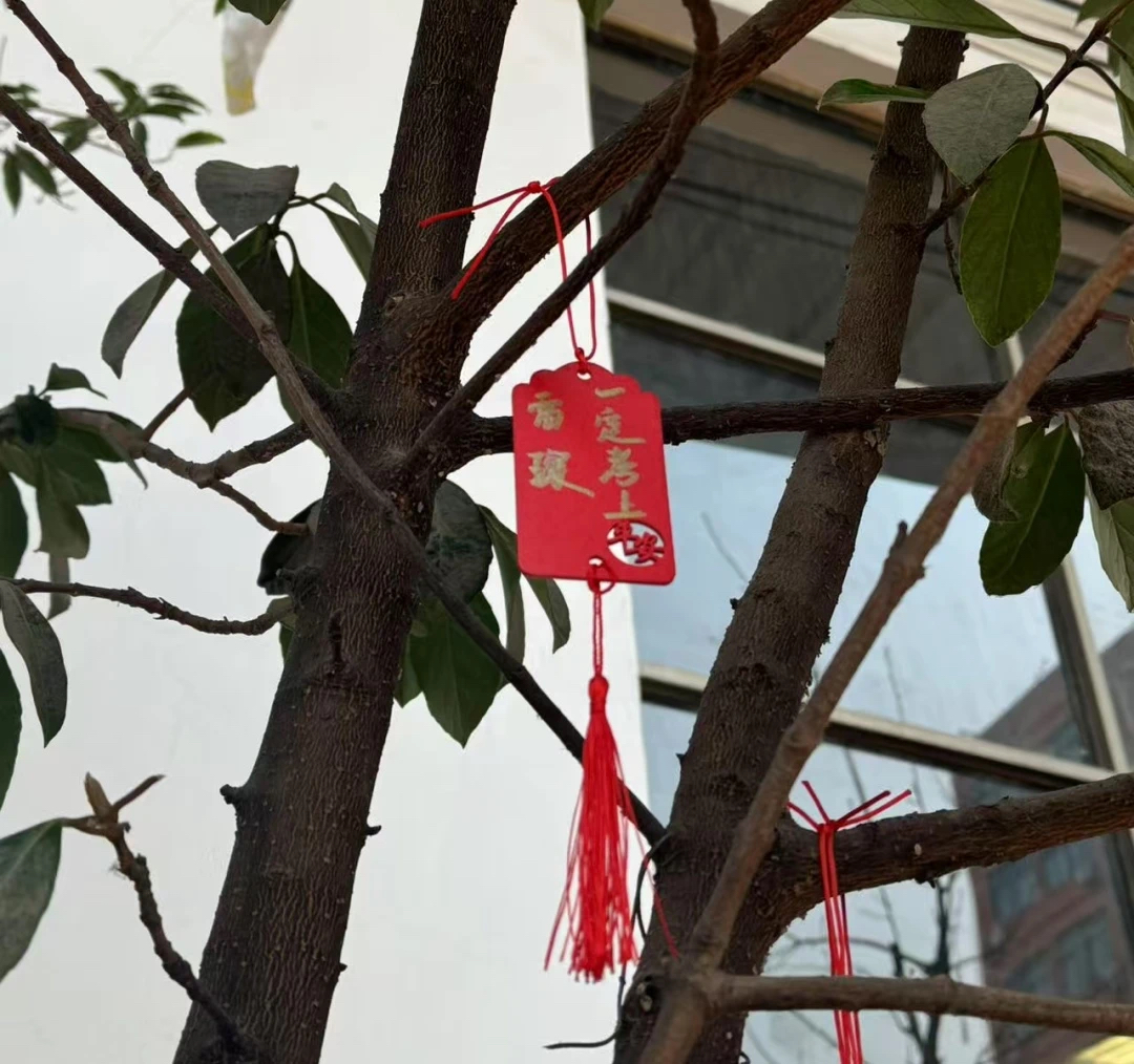 好大夫教育专升本高分学员