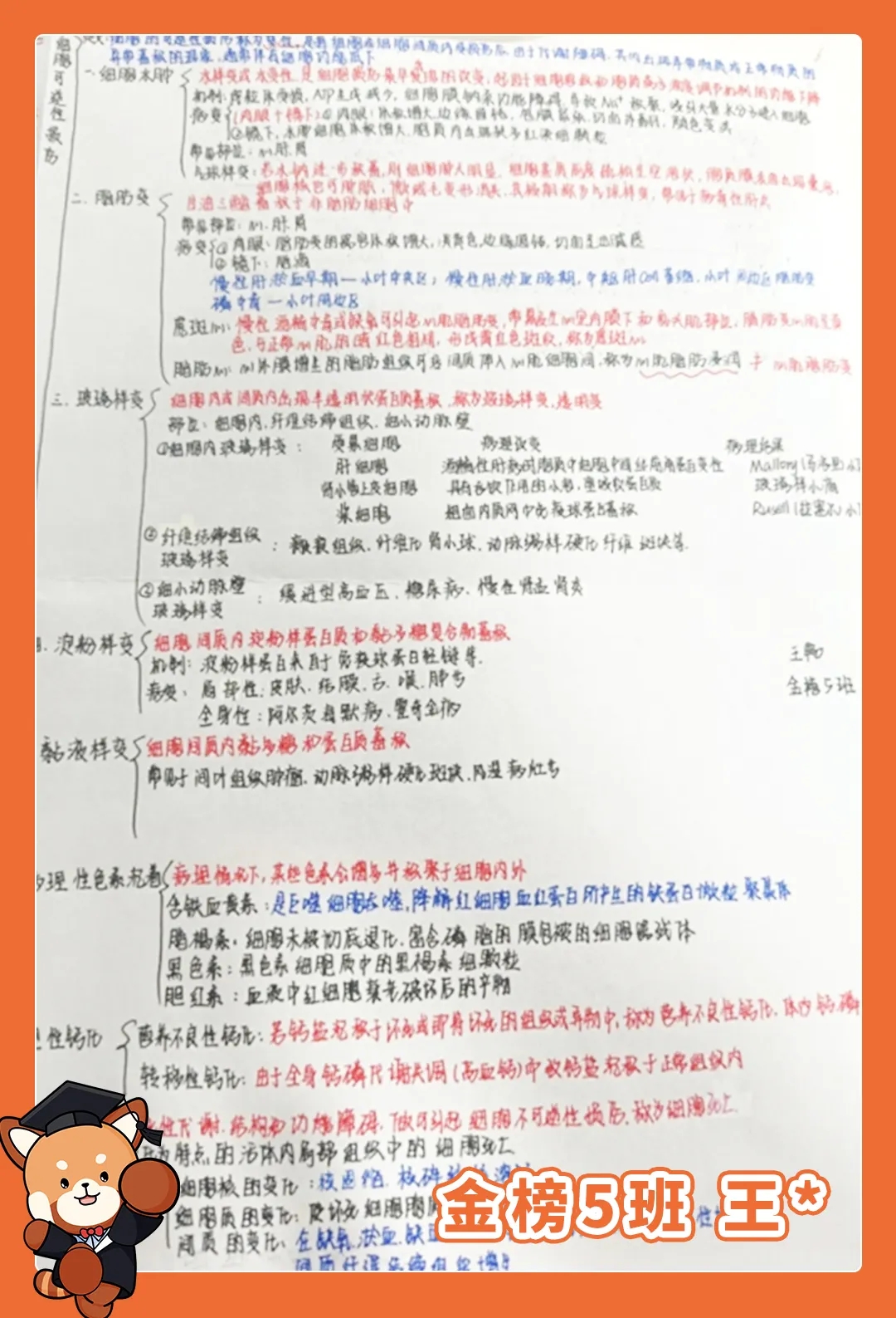 好大夫教育专升本笔记