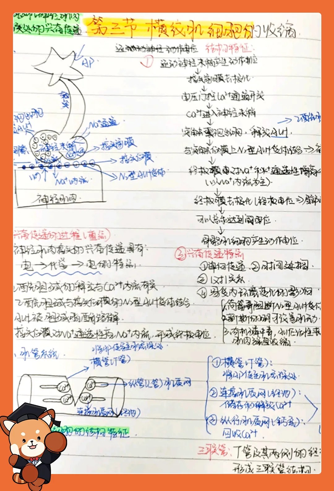 好大夫教育专升本笔记