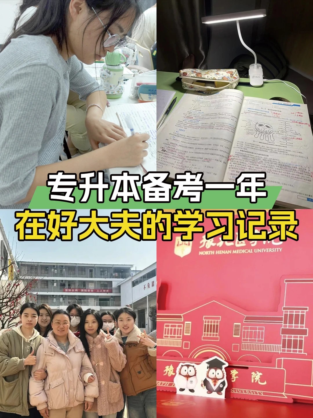 好大夫教育