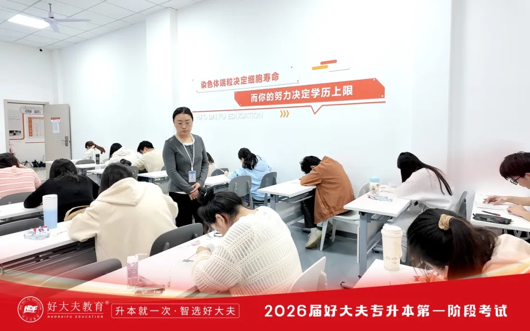 好大夫教育