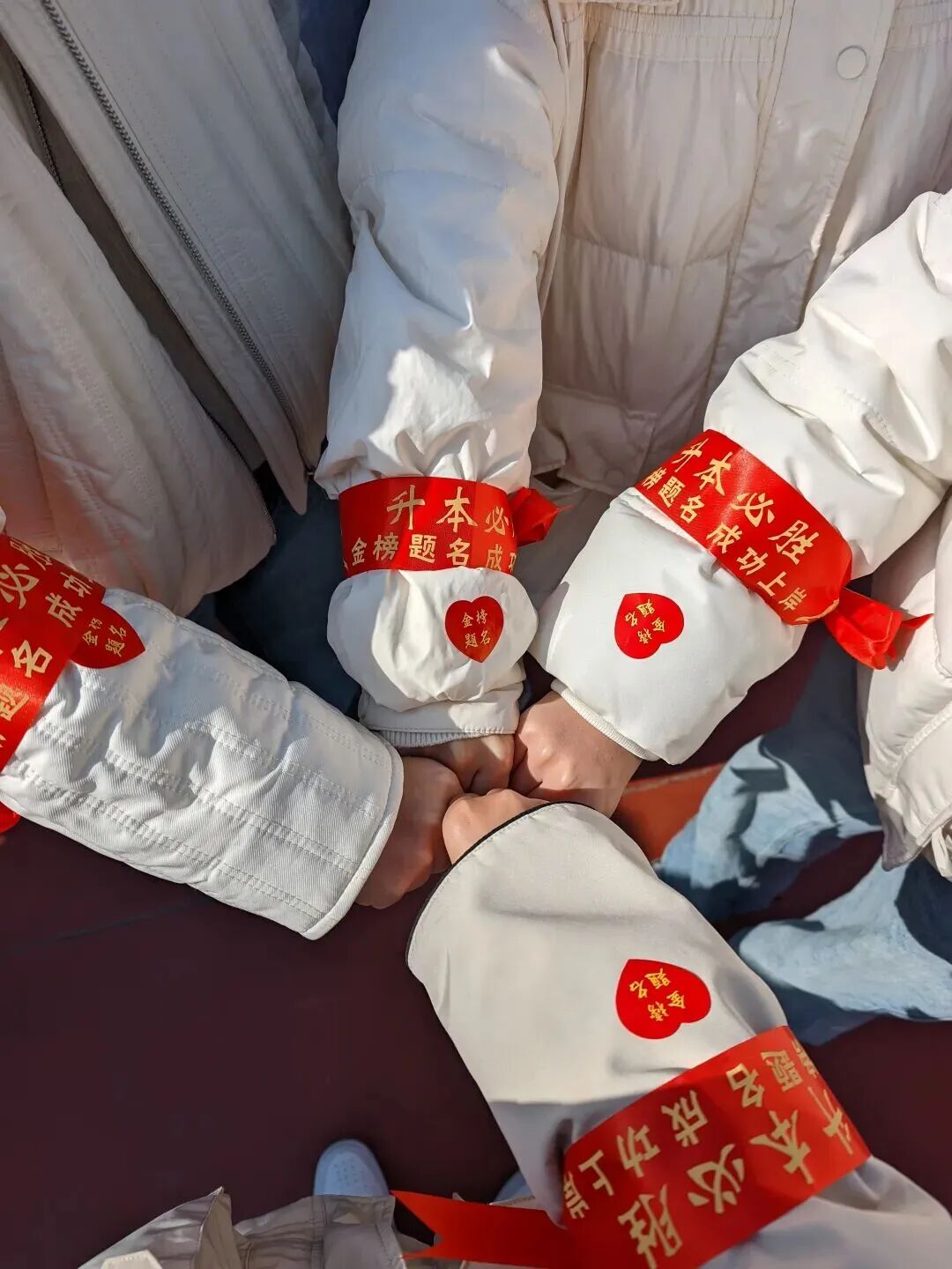 好大夫专升本高分学员