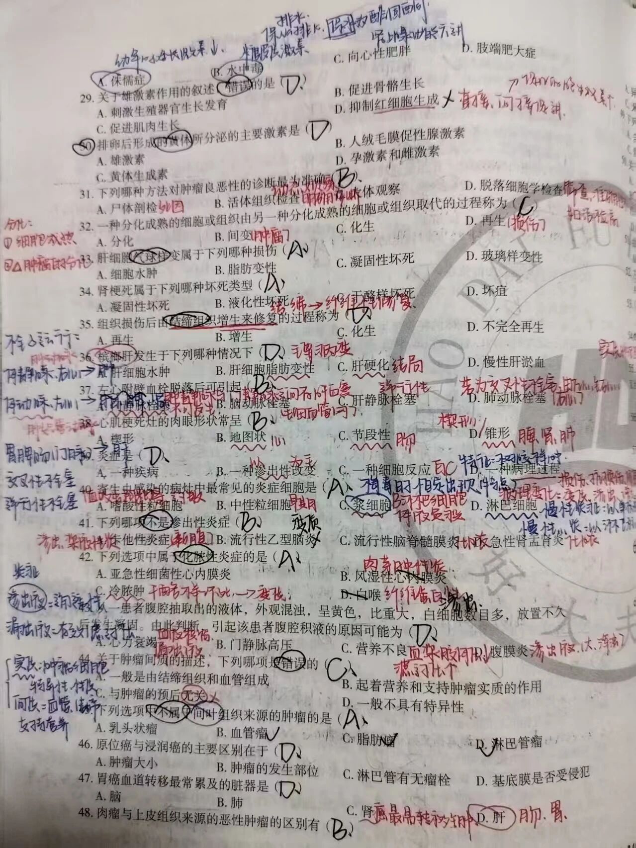 好大夫专升本高分学员