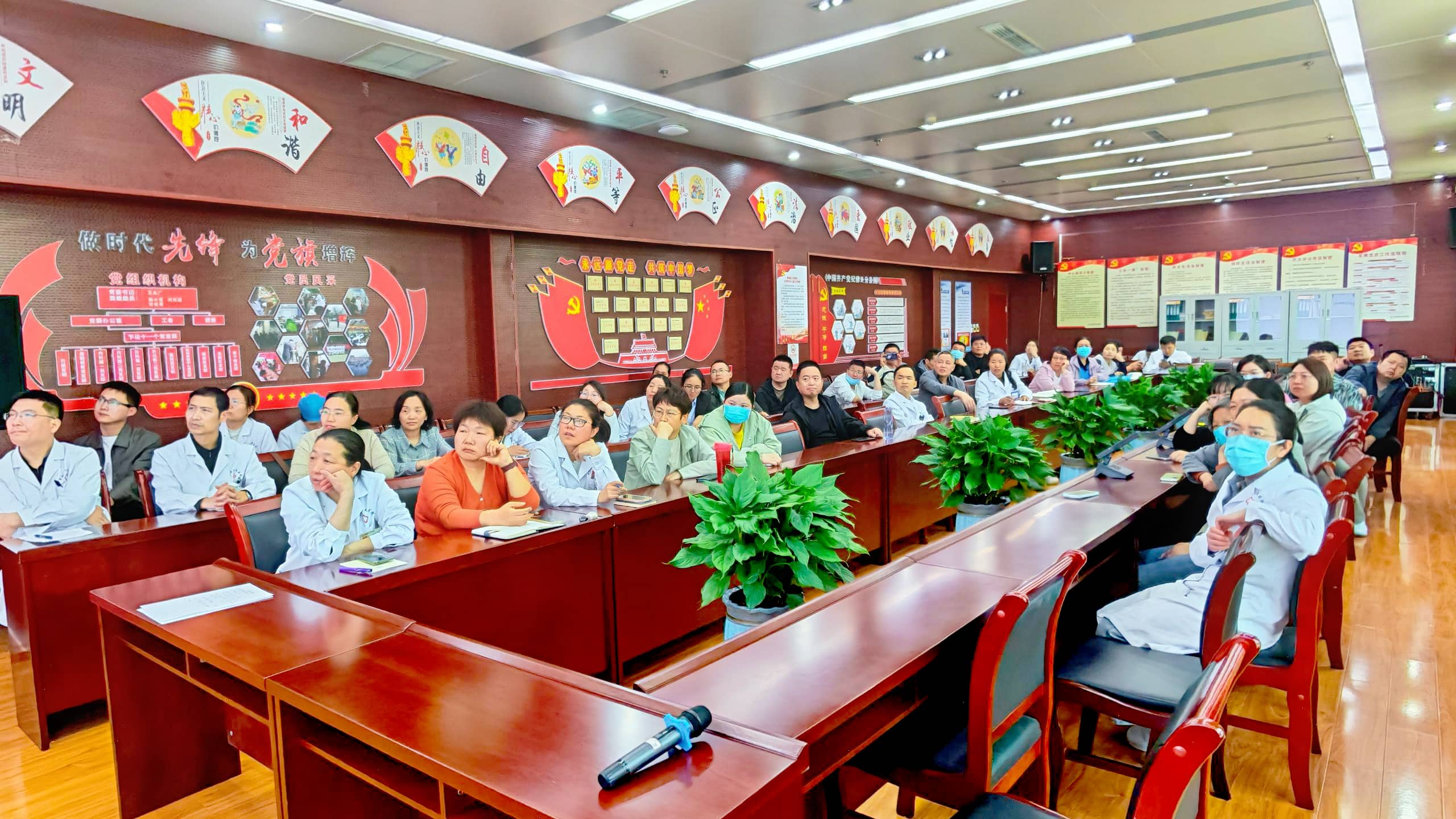 好大夫西学中