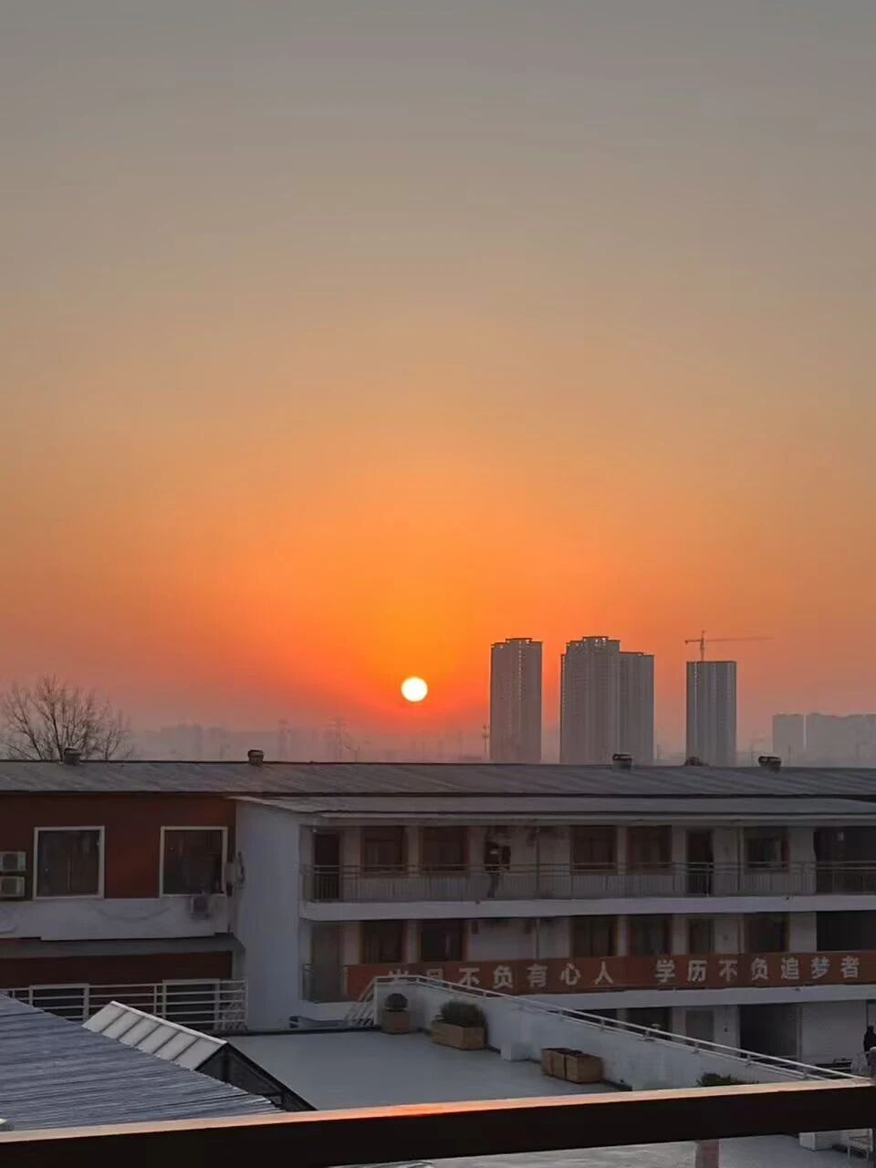 好大夫专升本高分学员