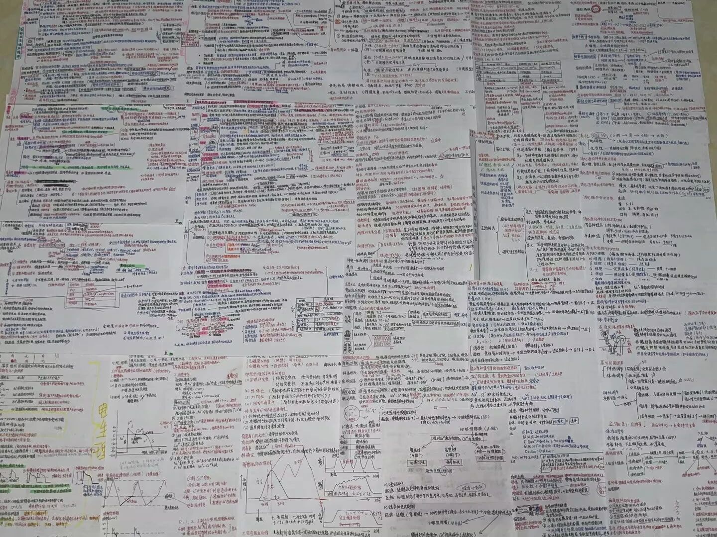 好大夫专升本高分学员
