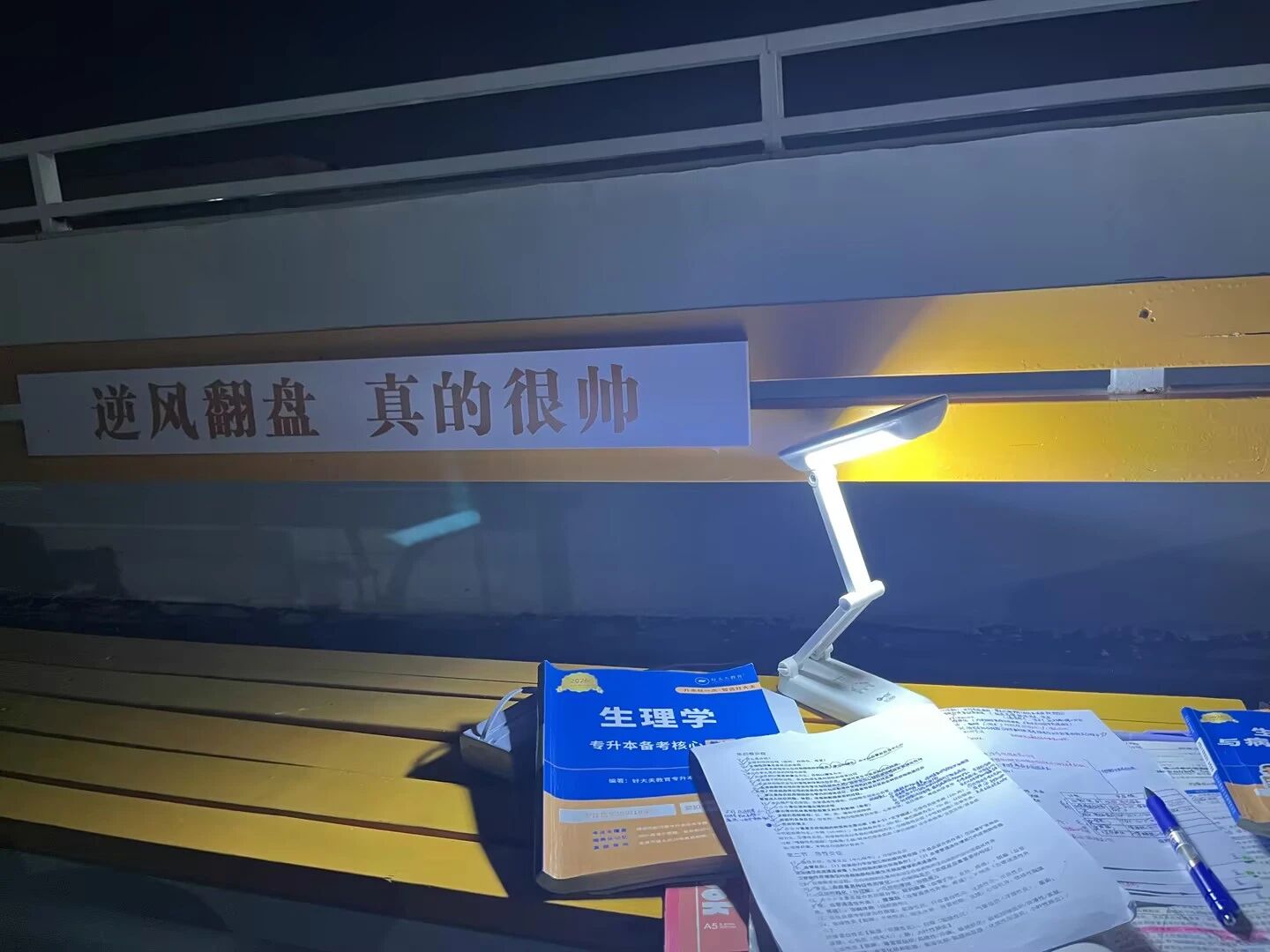 好大夫专升本高分学员