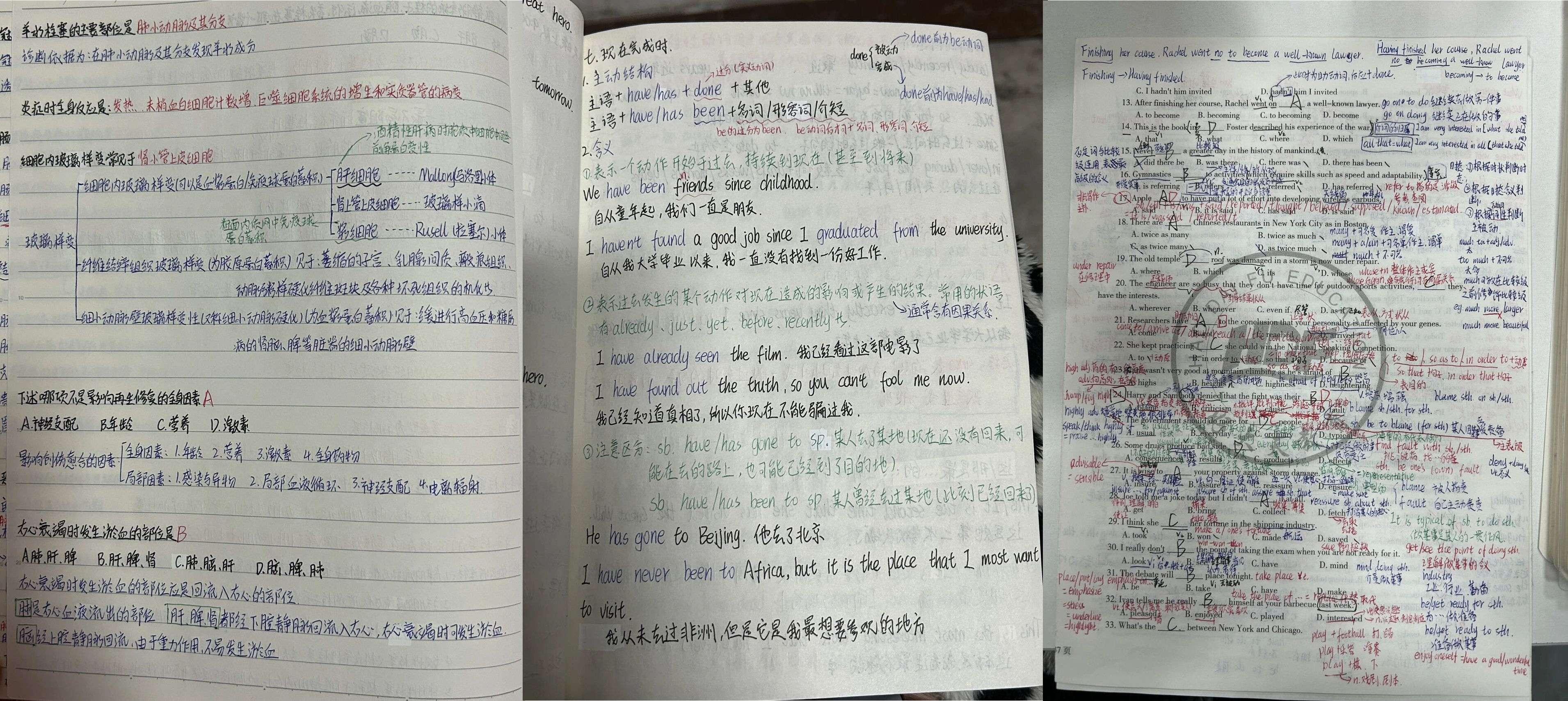好大夫专升本高分学员