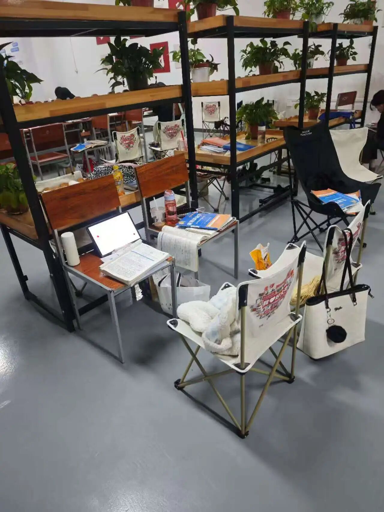 好大夫专升本高分学员