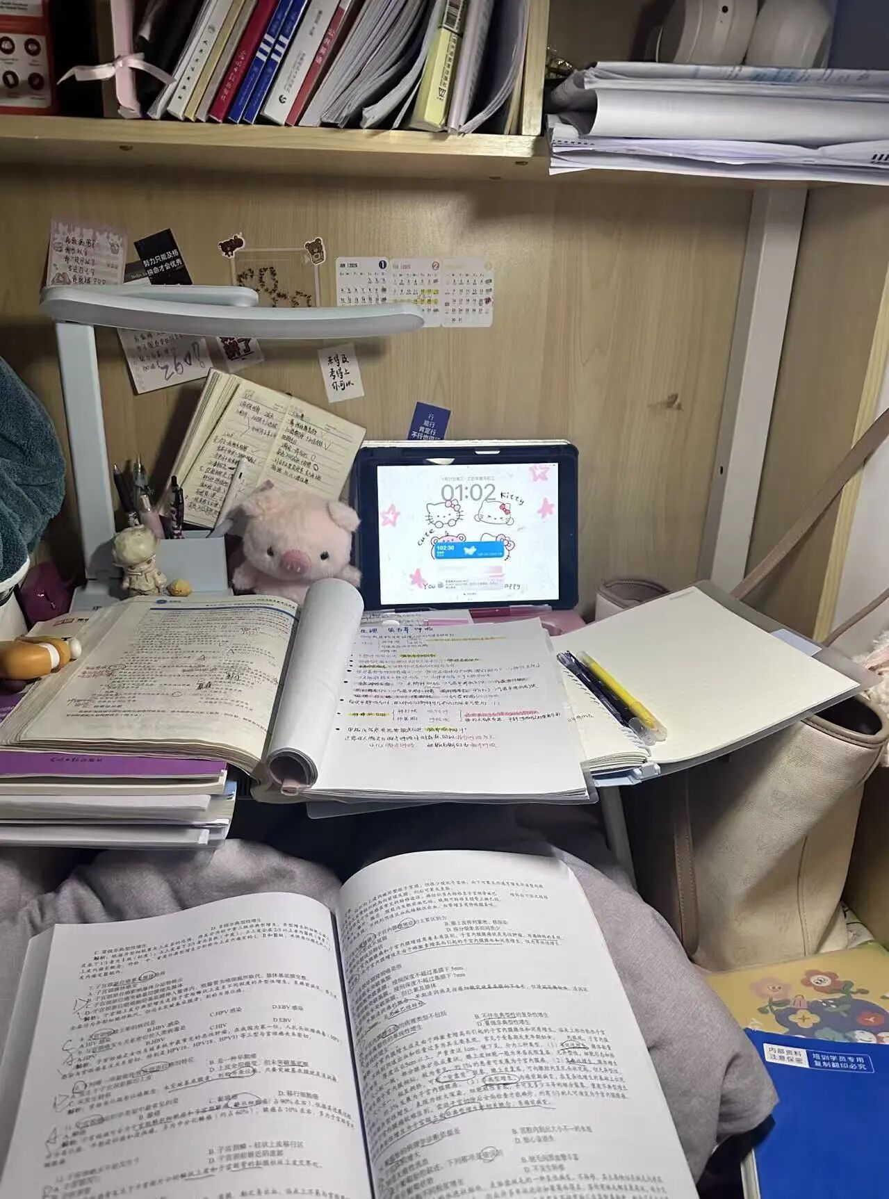 好大夫专升本高分学员