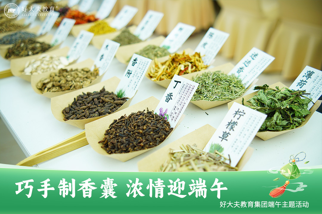好大夫教育