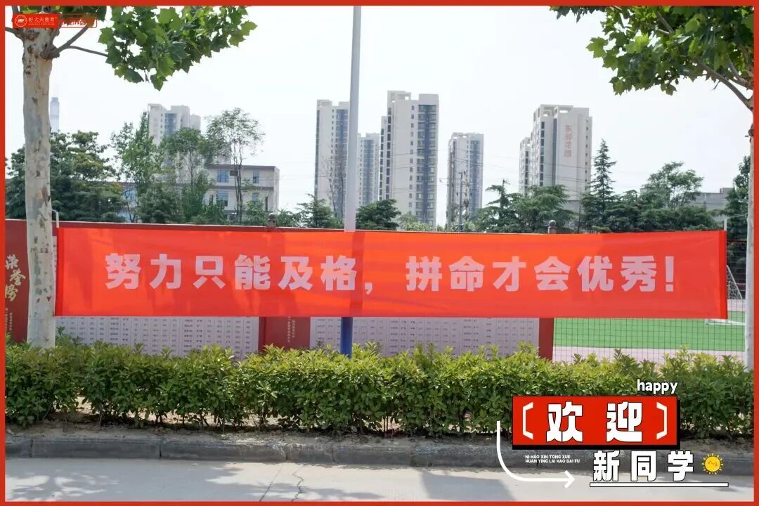 好大夫教育