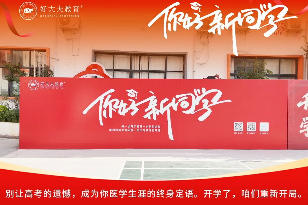 好大夫教育