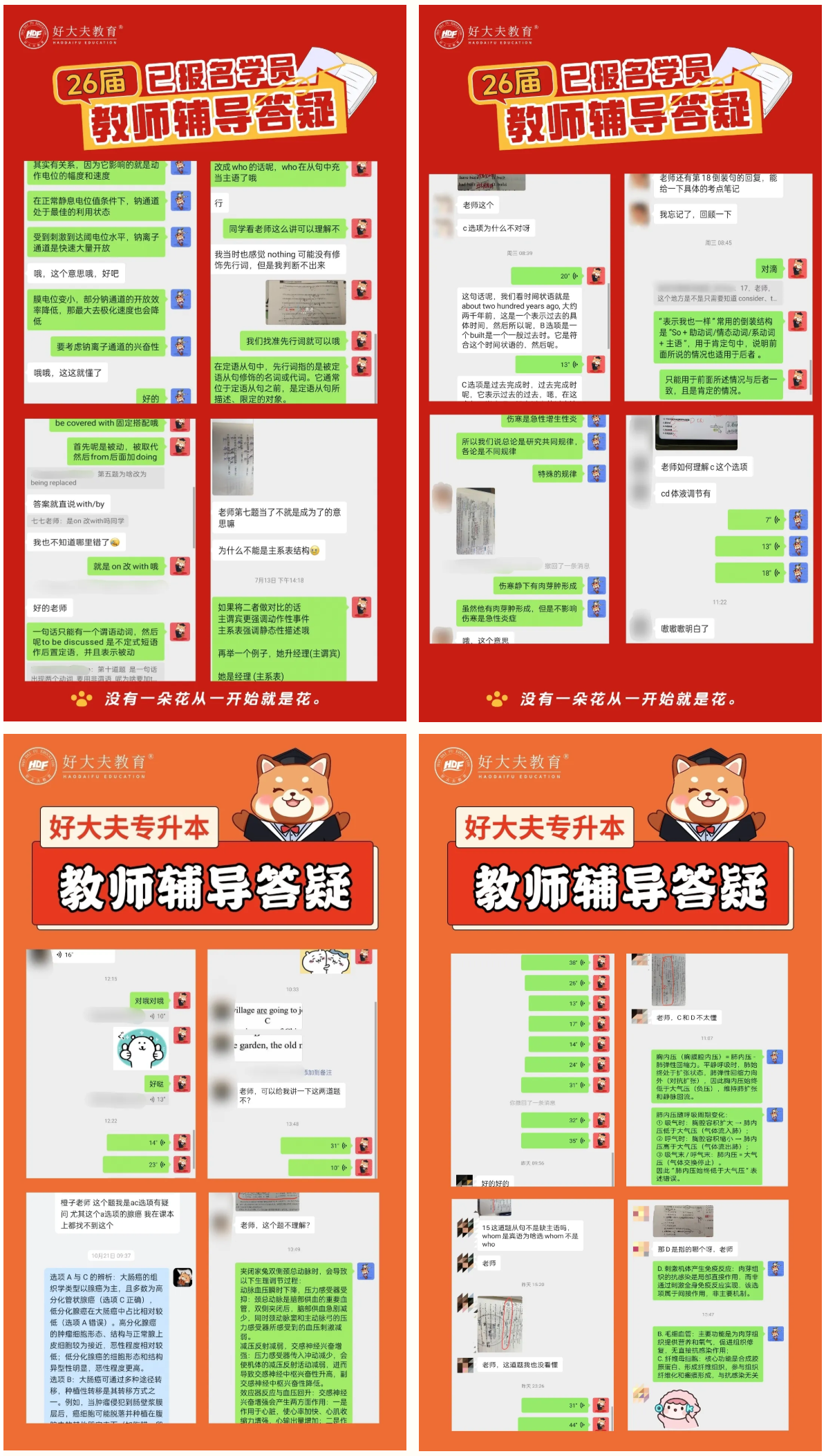好大夫教育