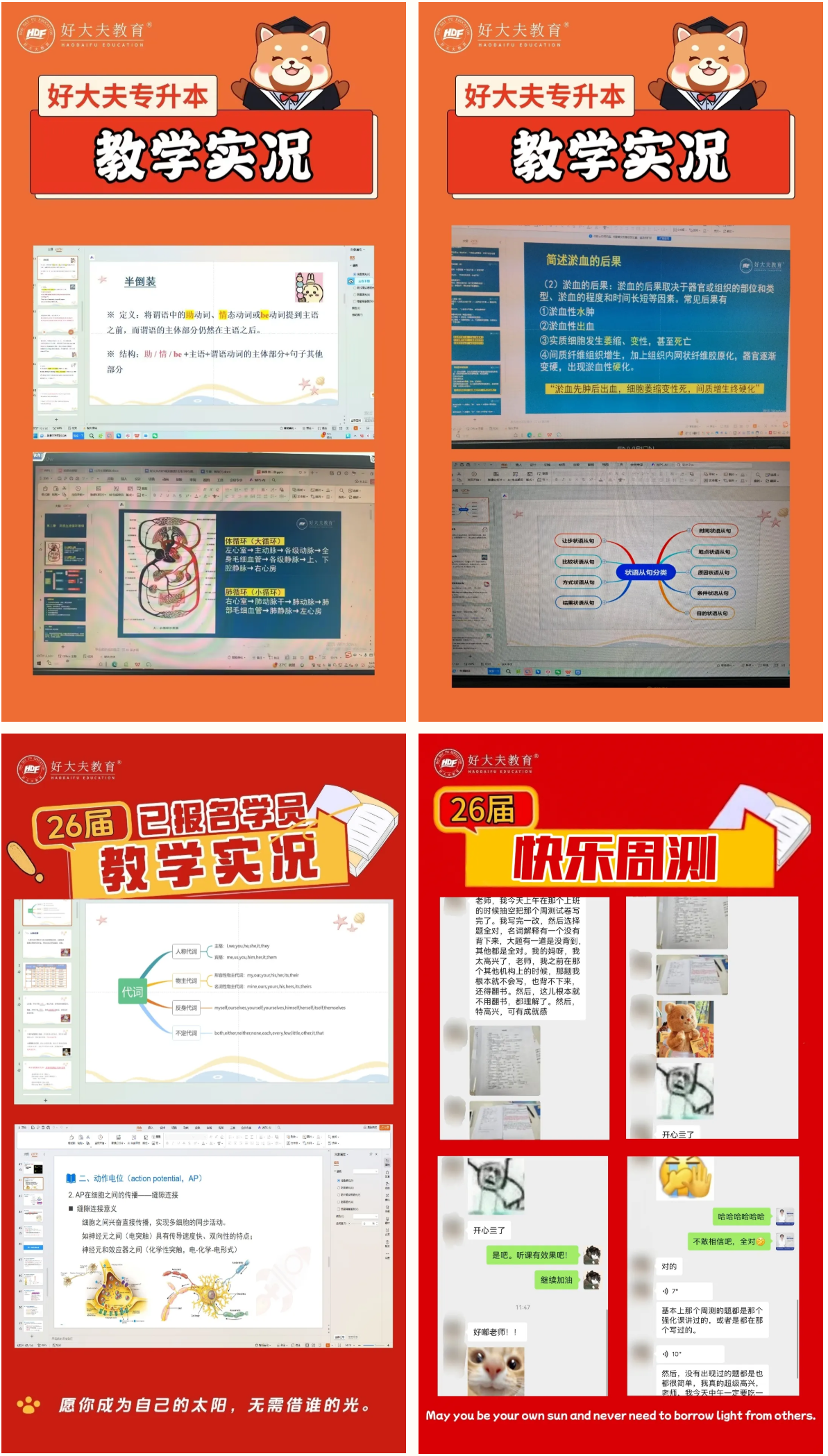 好大夫教育
