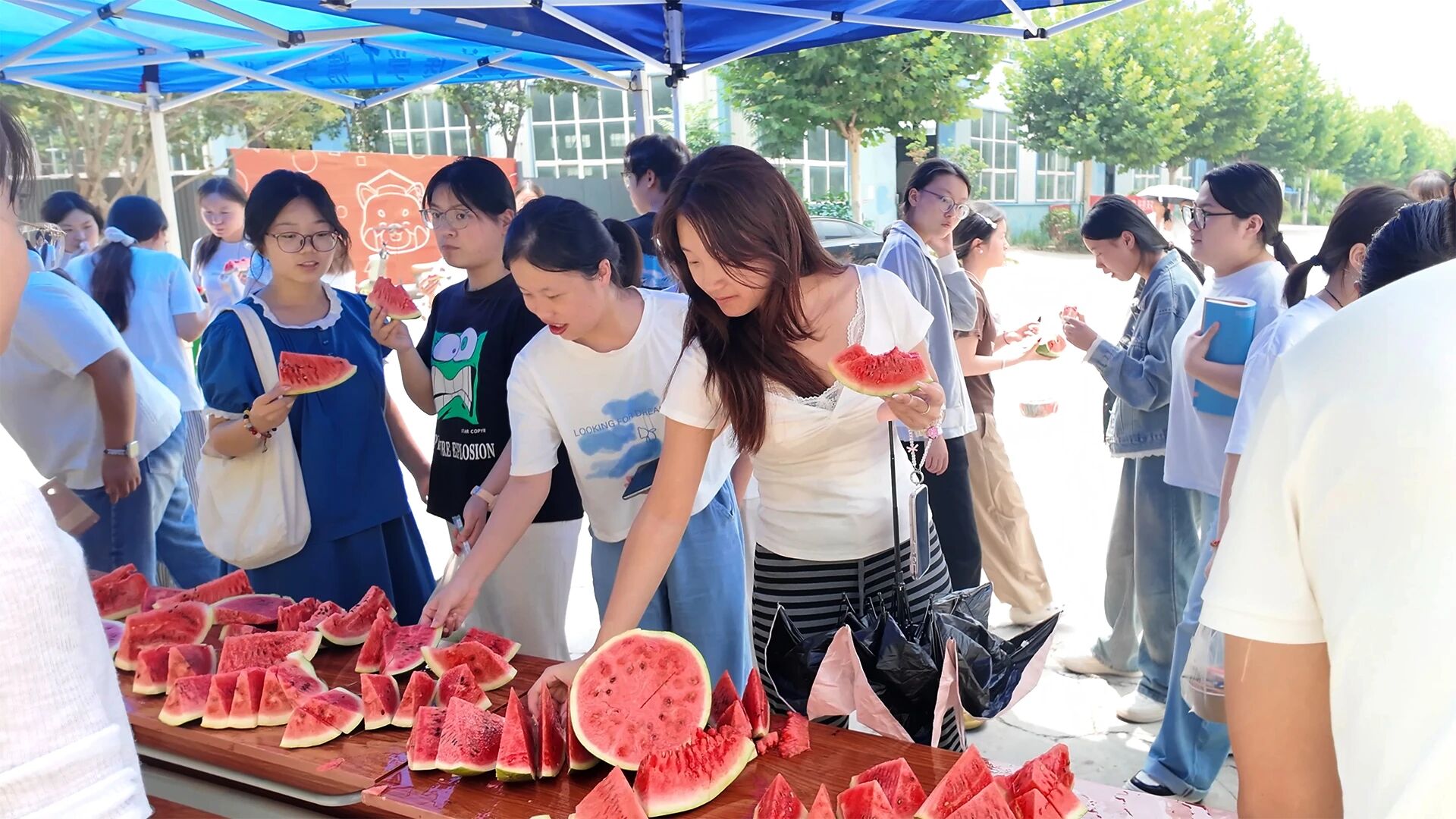 好大夫教育