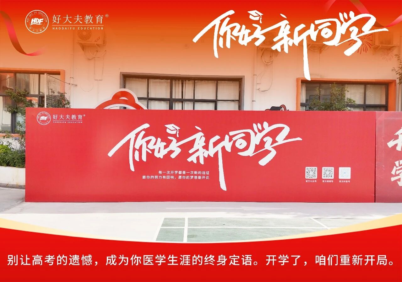 好大夫教育