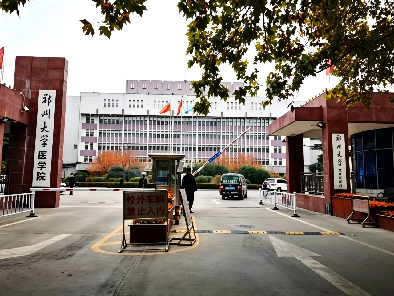 好大夫教育